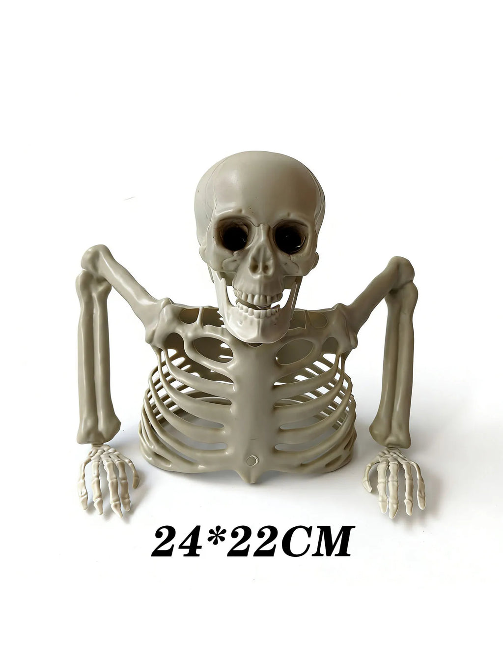 Emerging Skeleton 9.45 inches