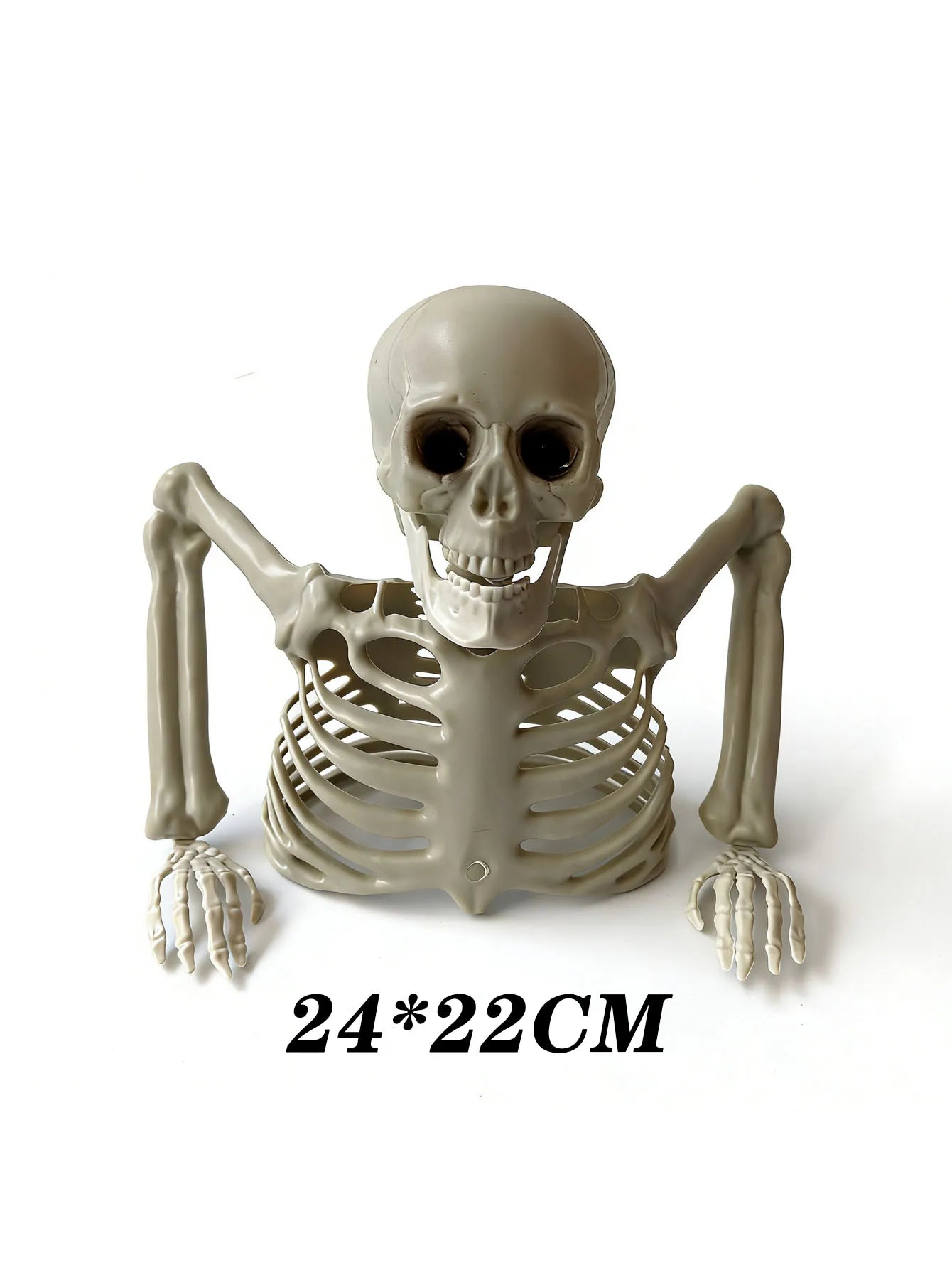 Emerging Skeleton 9.45 inches